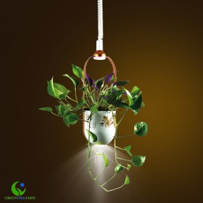 den-led-trong-cay-eco